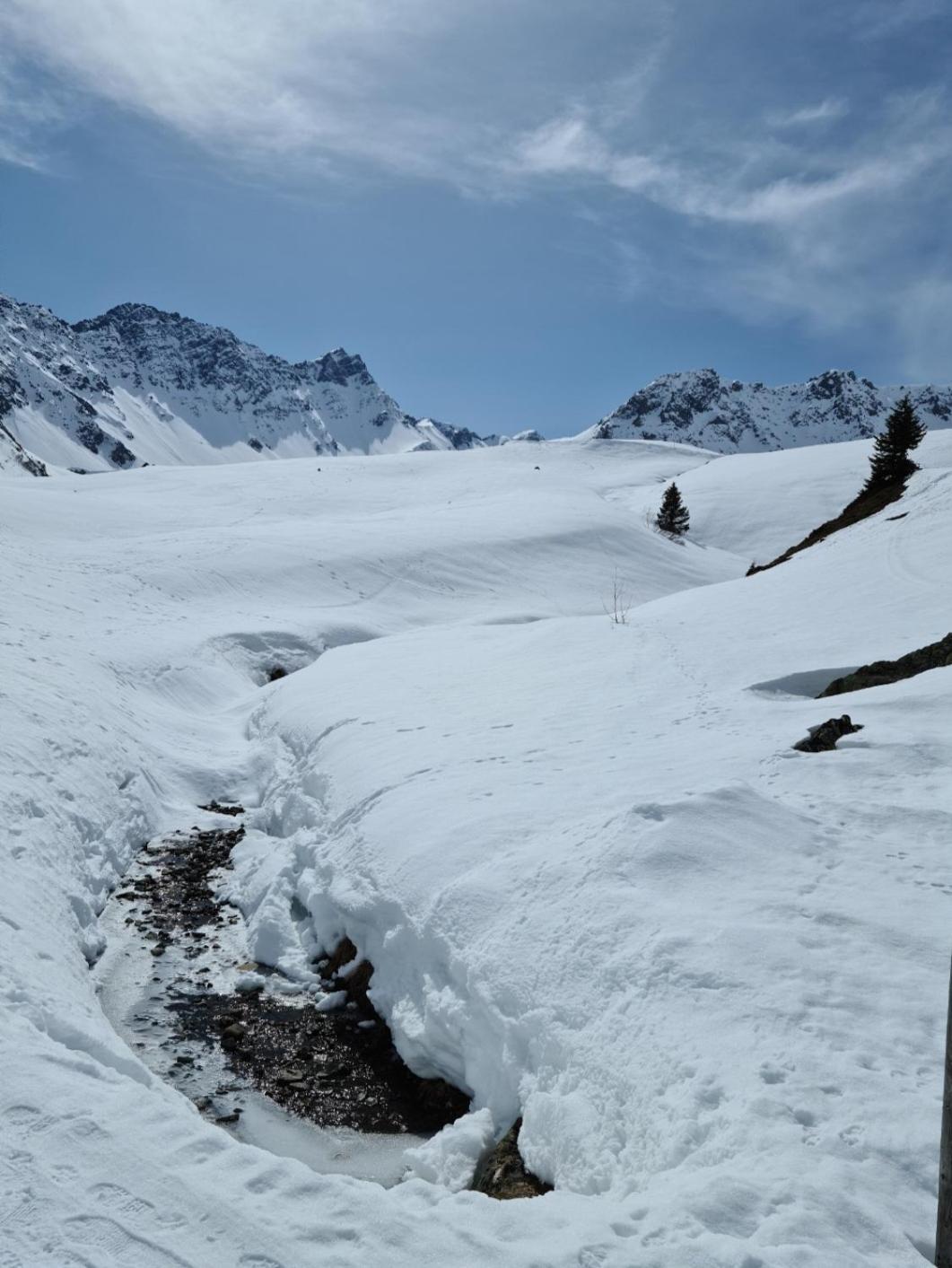 Fewo D'Rock Arosa- Center Of Nightlife By Nature Apartments Switzerland 외부 사진