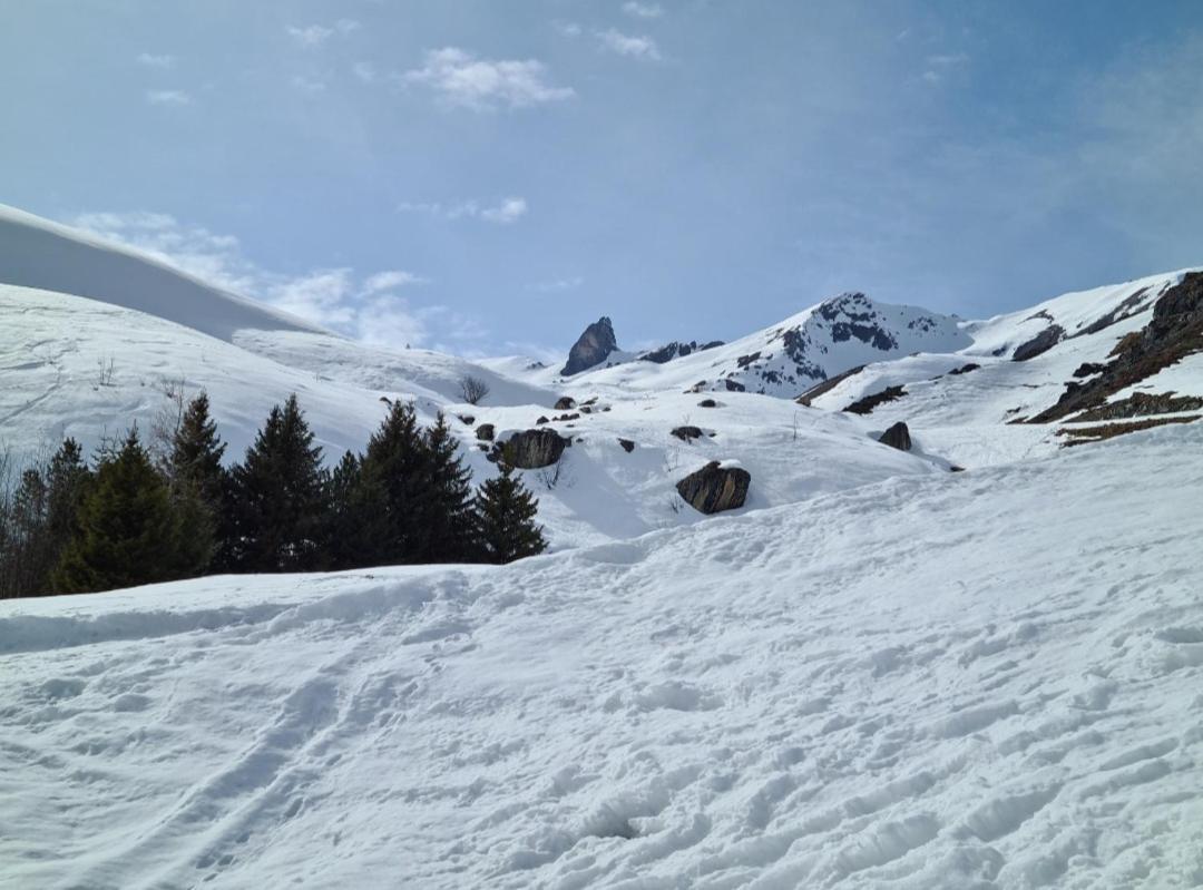 Fewo D'Rock Arosa- Center Of Nightlife By Nature Apartments Switzerland 외부 사진